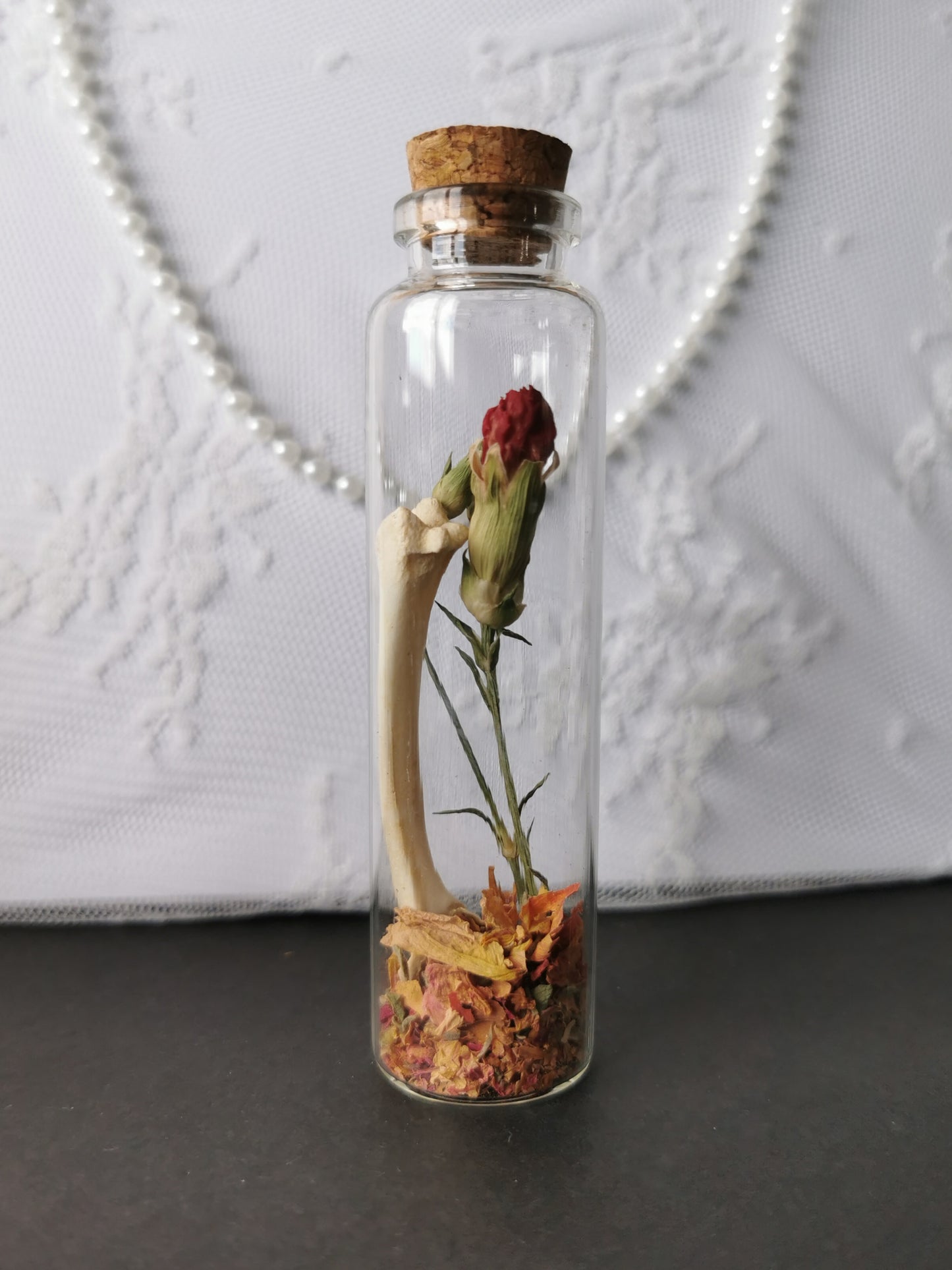Curiosity bottle set