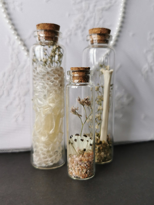 Curiosity bottle set