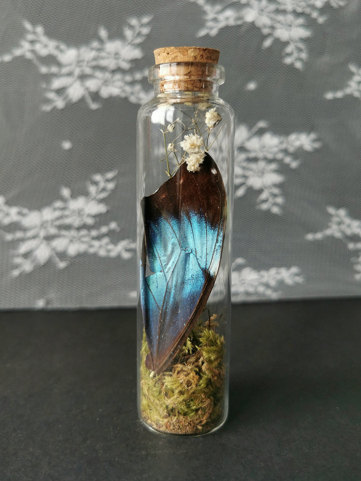 Large curiosity bottle