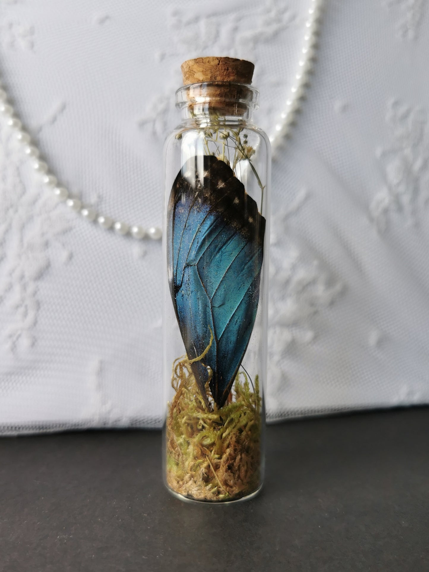 Curiosity bottle set