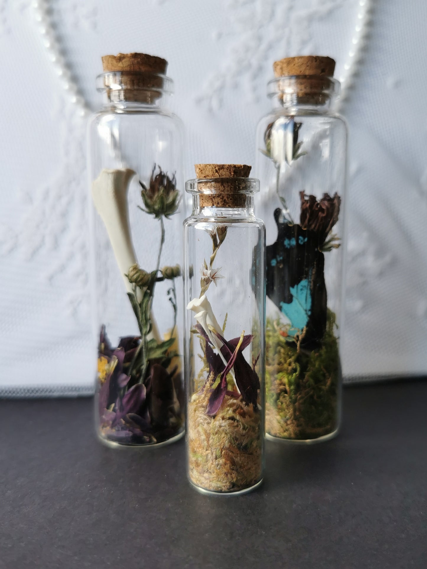 Curiosity bottle set