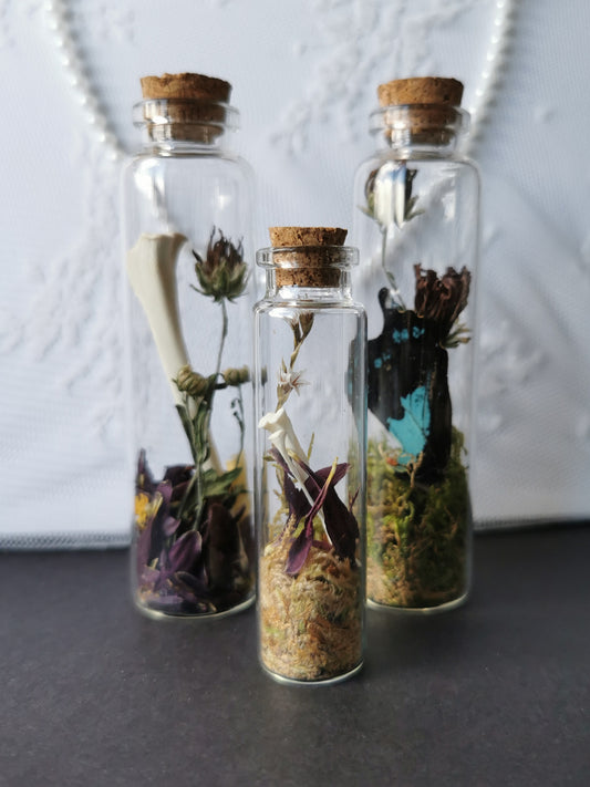Curiosity bottle set