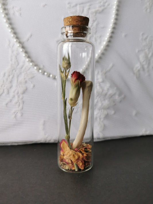 Large curiosity bottle