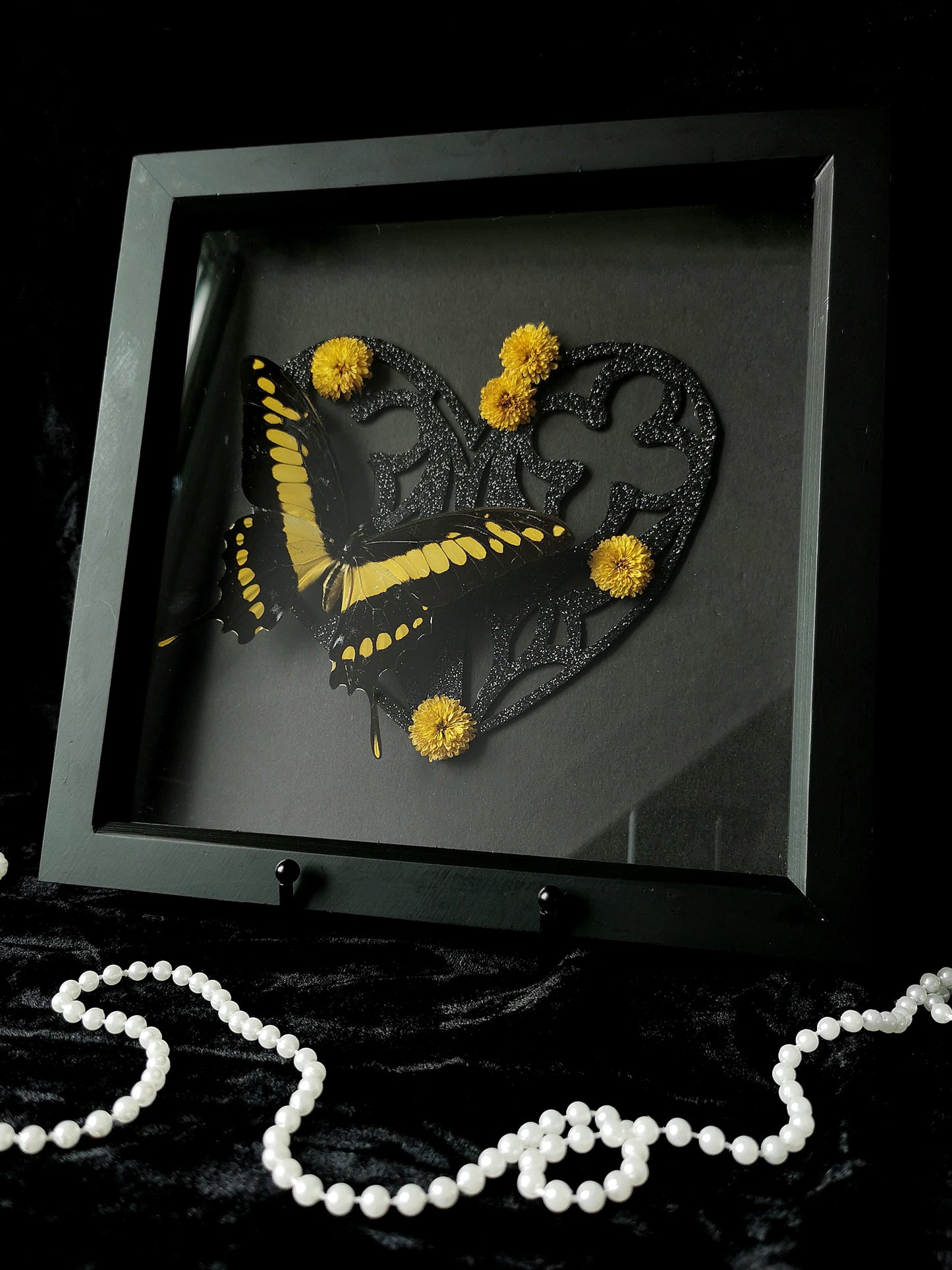 King Swallowtail butterfly frame with glitter heart and dried flowers