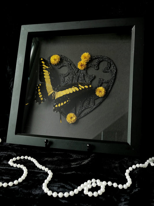 King Swallowtail butterfly frame with glitter heart and dried flowers