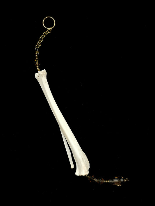 Rabbit tibia suncatcher