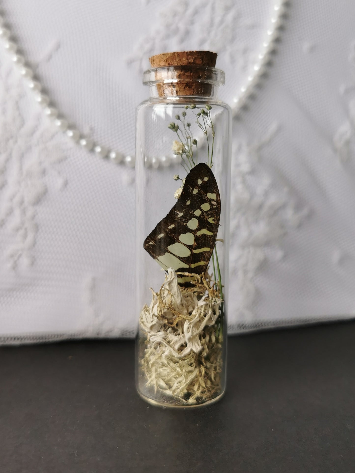 Curiosity bottle set
