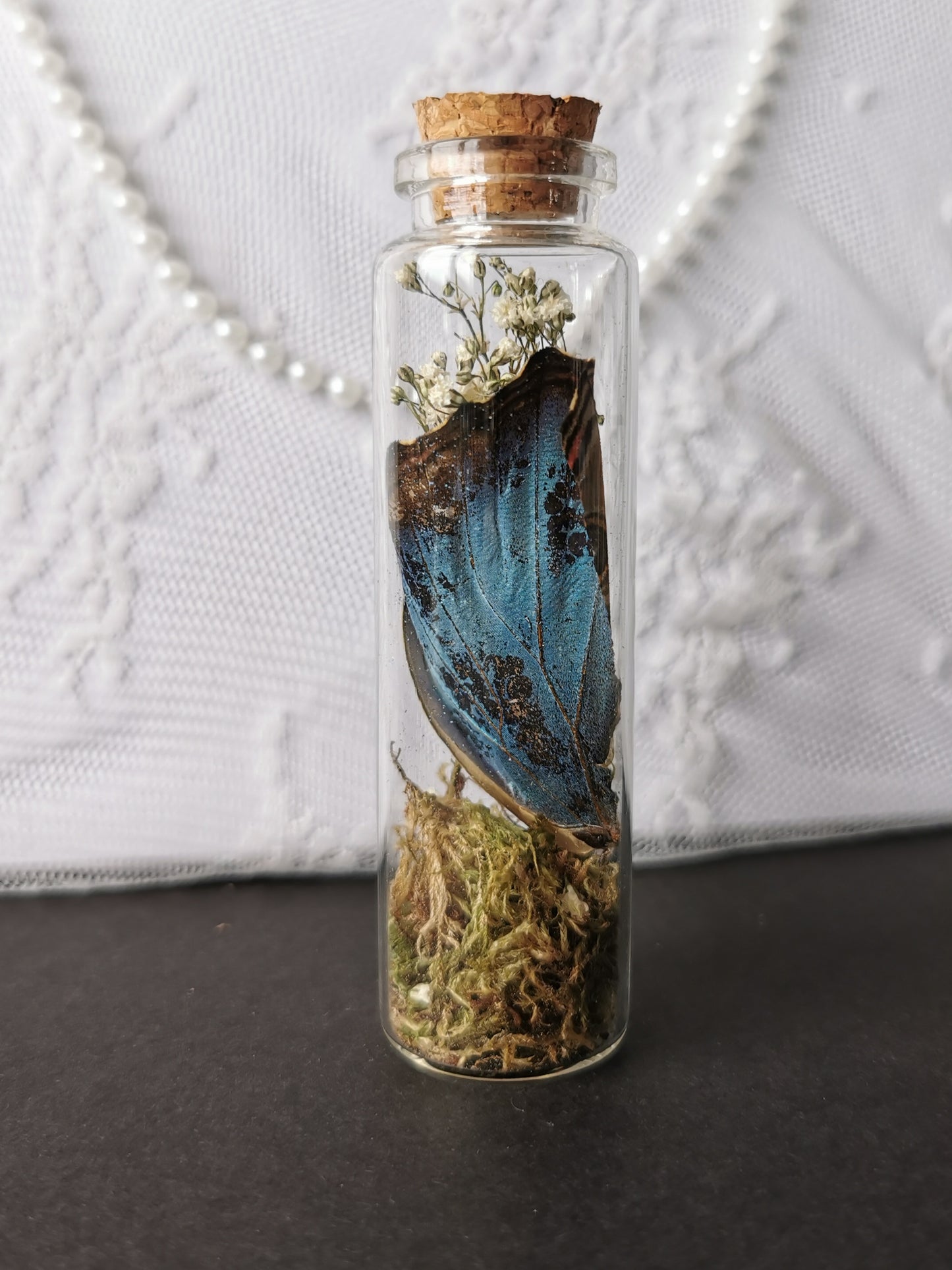 Curiosity bottle set