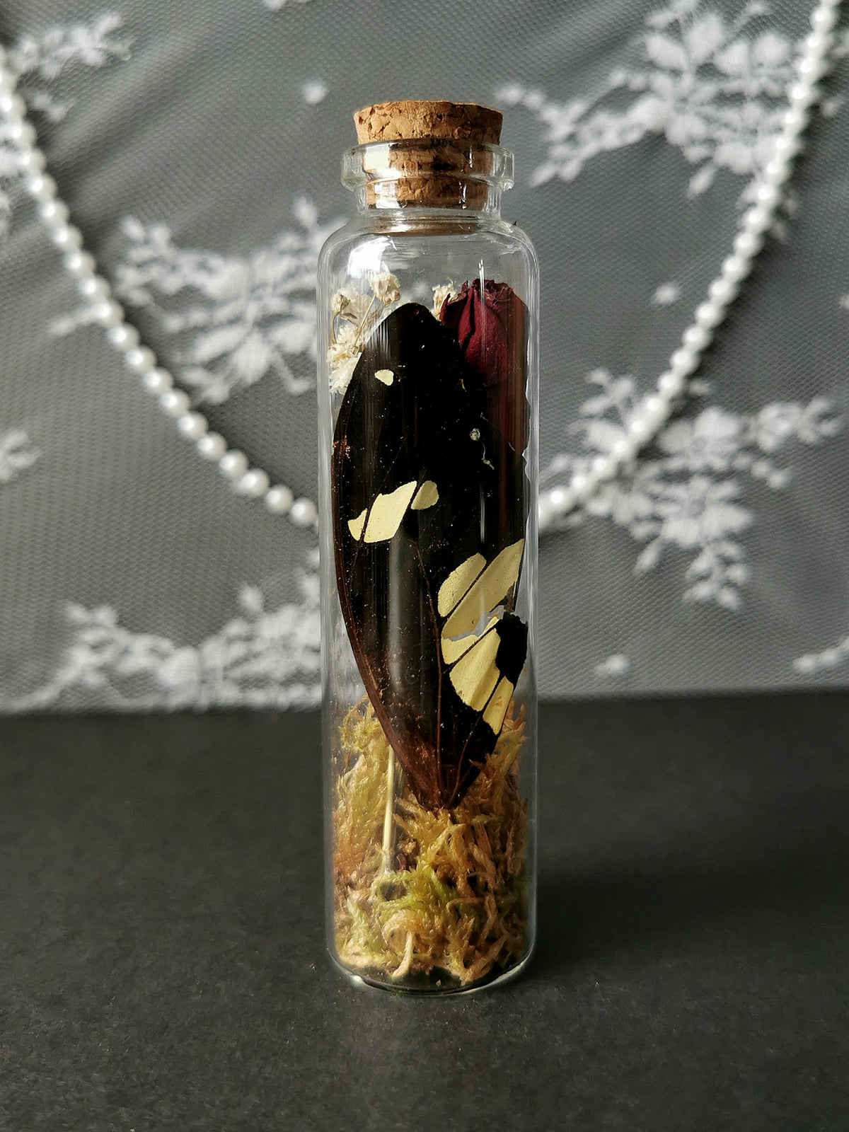 Large curiosity bottle