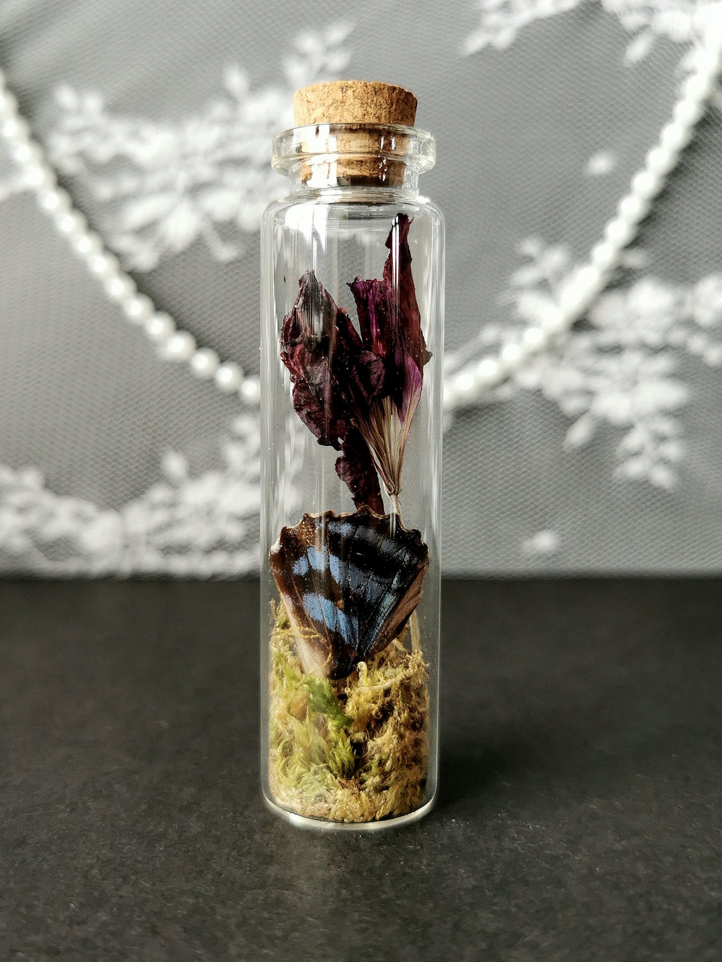 Small curiosity bottle