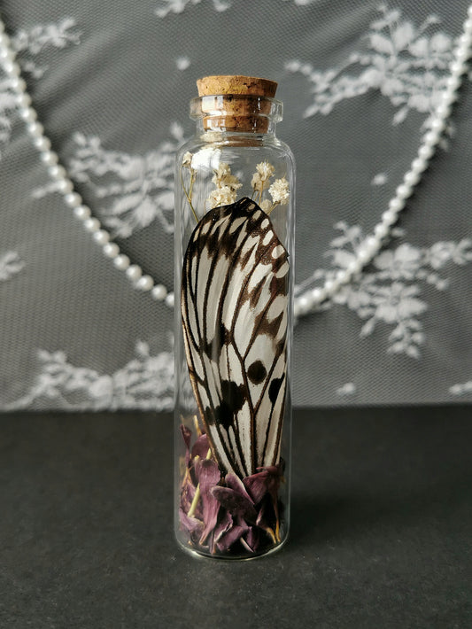 Large curiosity bottle
