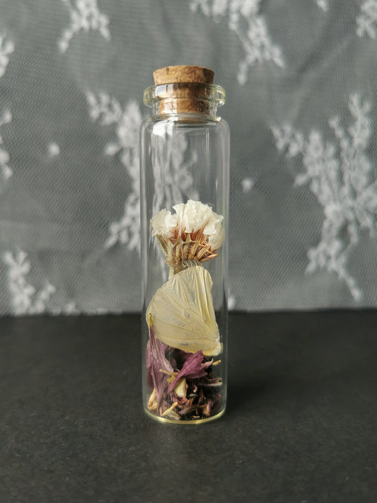 Small curiosity bottle