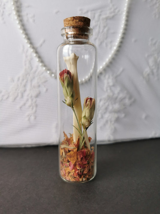 Large curiosity bottle