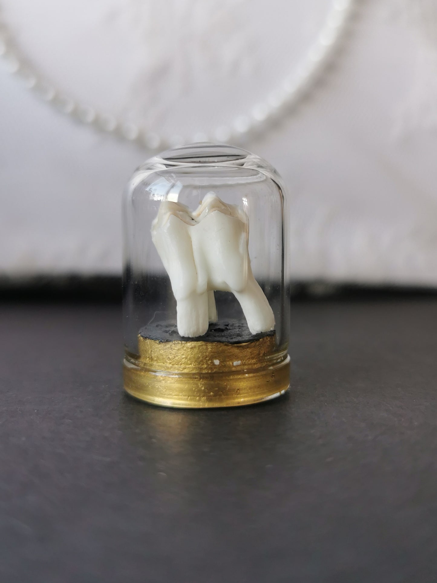 Small tooth dome