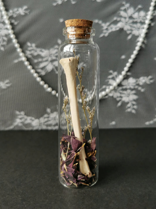 Large curiosity bottle
