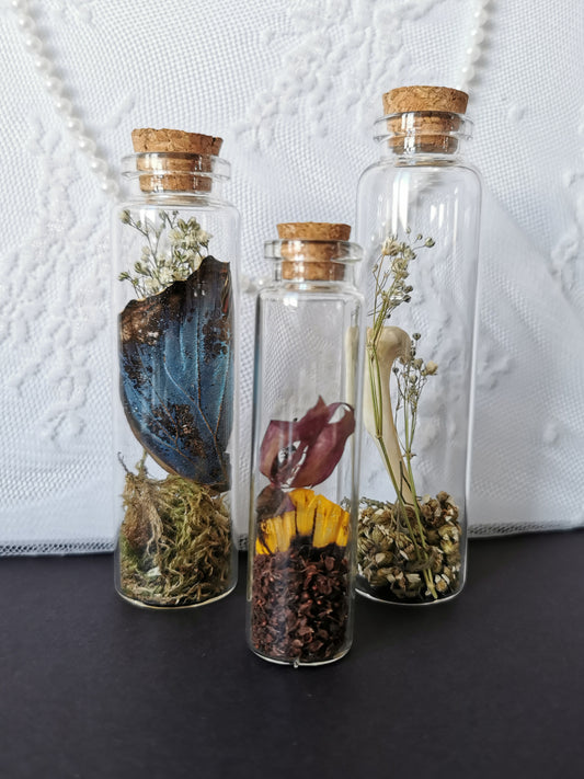 Curiosity bottle set