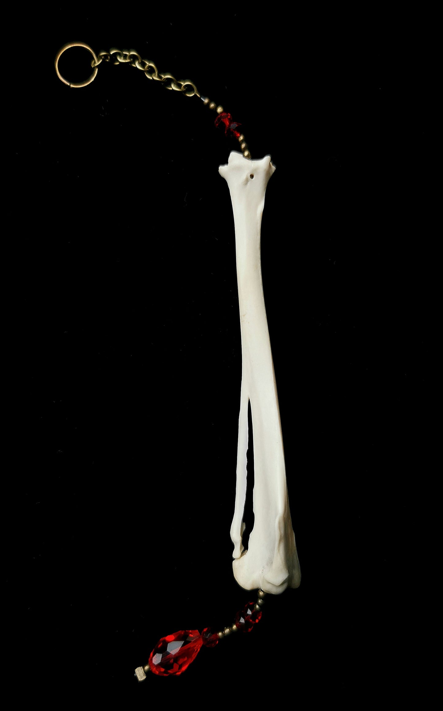 Rabbit tibia suncatcher