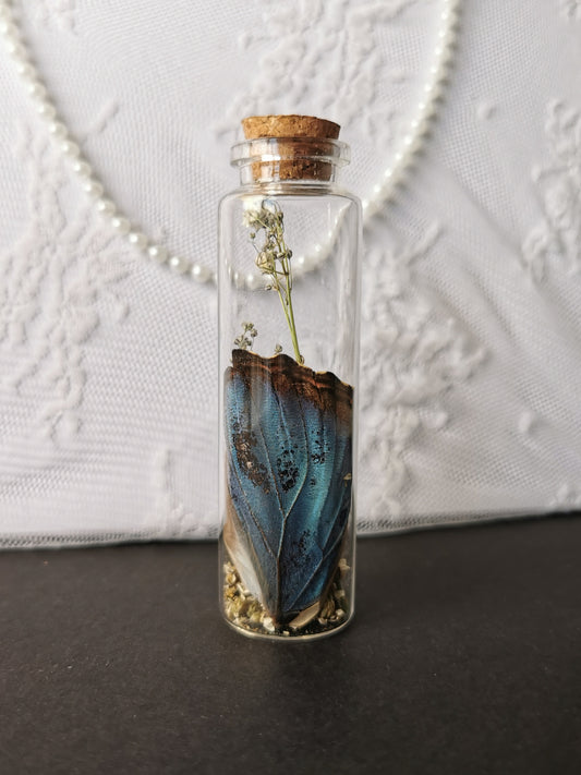 Large curiosity bottle