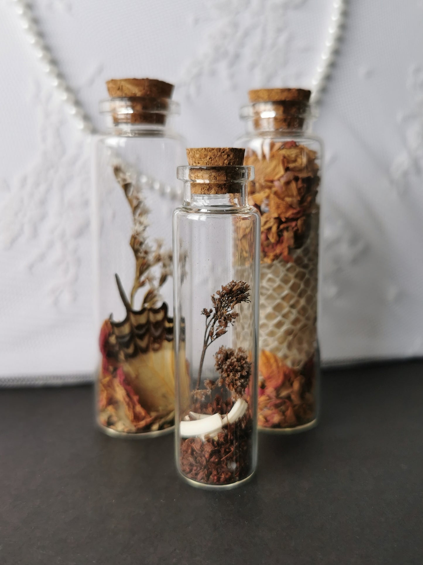 Curiosity bottle set