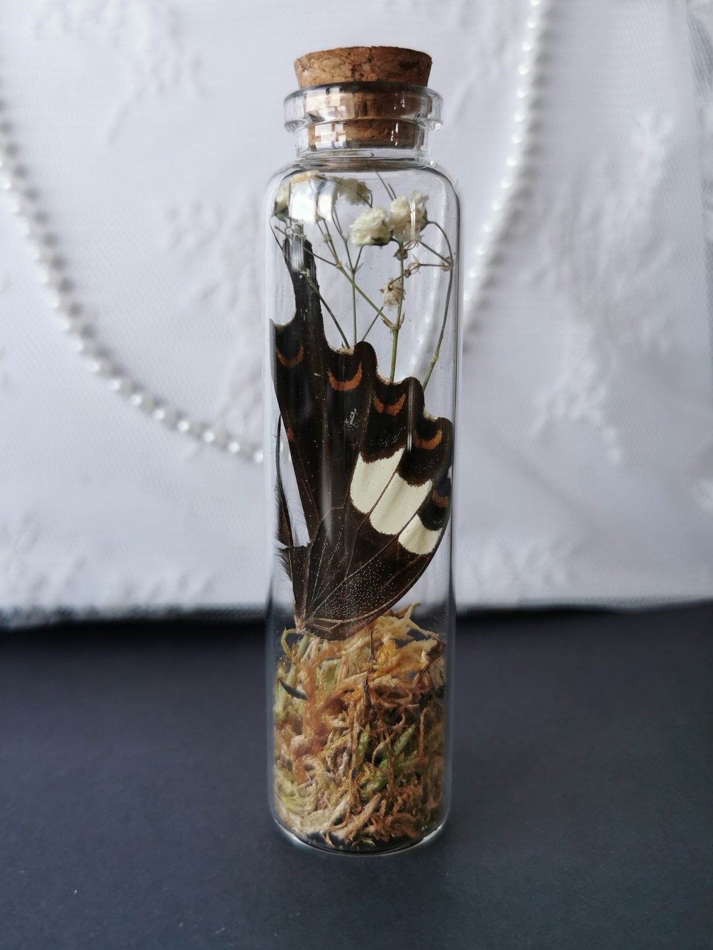 Large curiosity bottle
