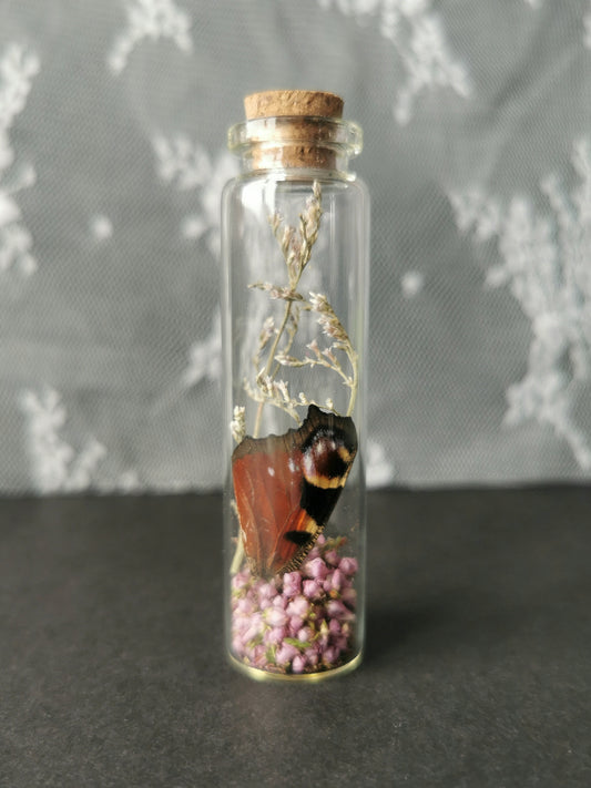 Small curiosity bottle