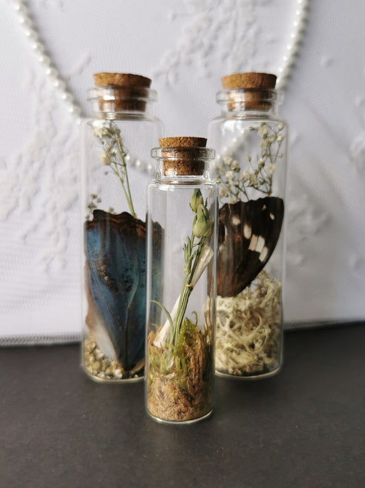 Curiosity bottle set