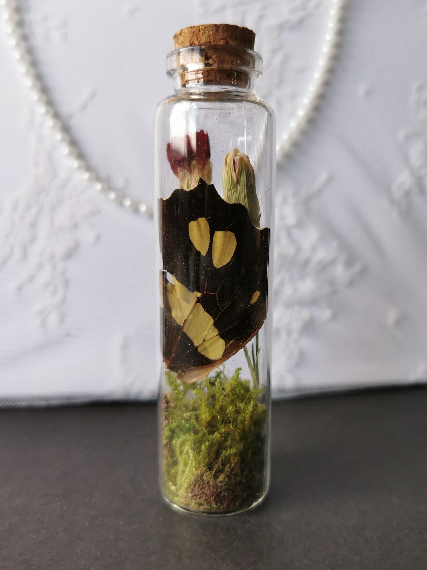 Curiosity bottle set