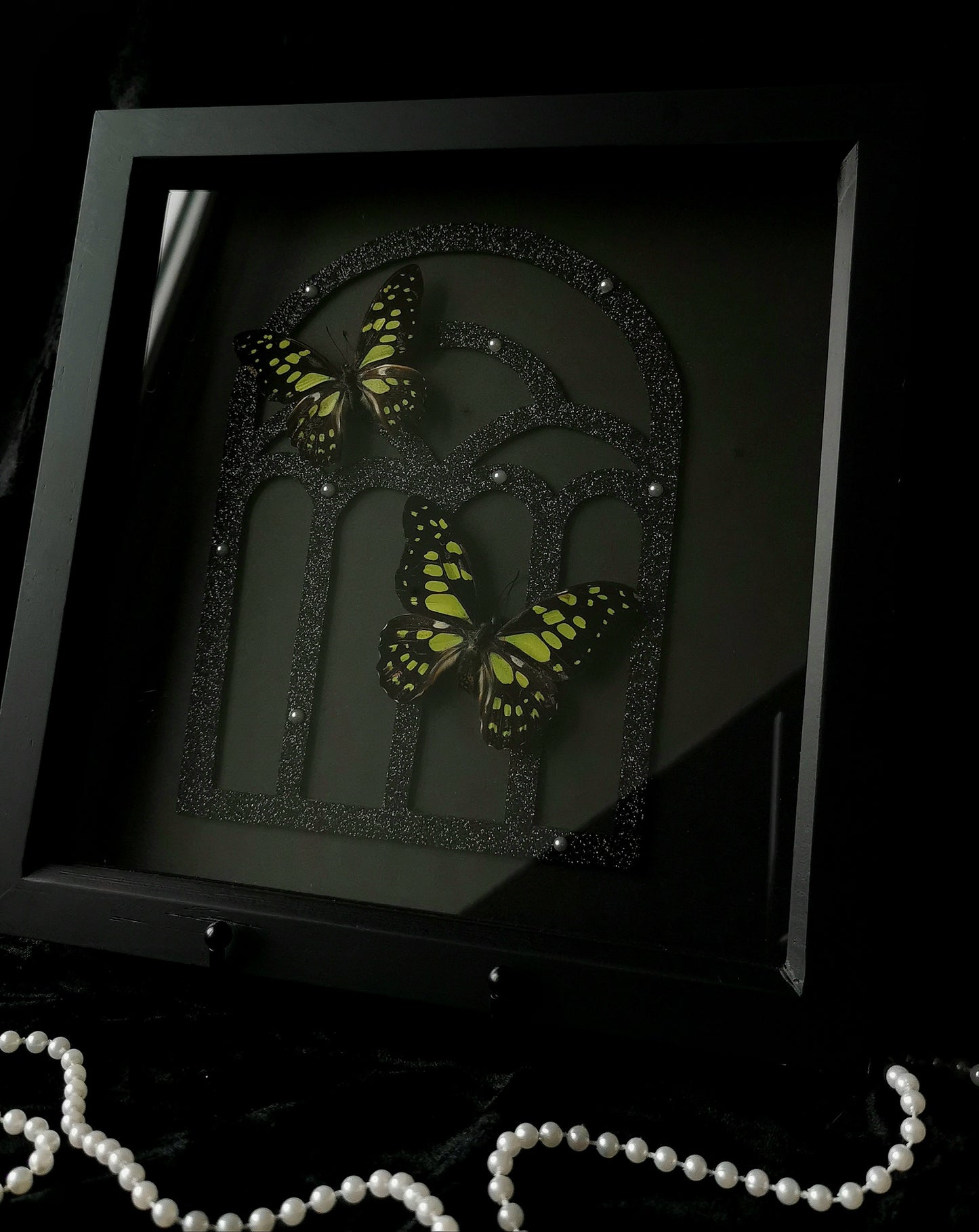 Veined Swallowtail gothic glitter entomology frame