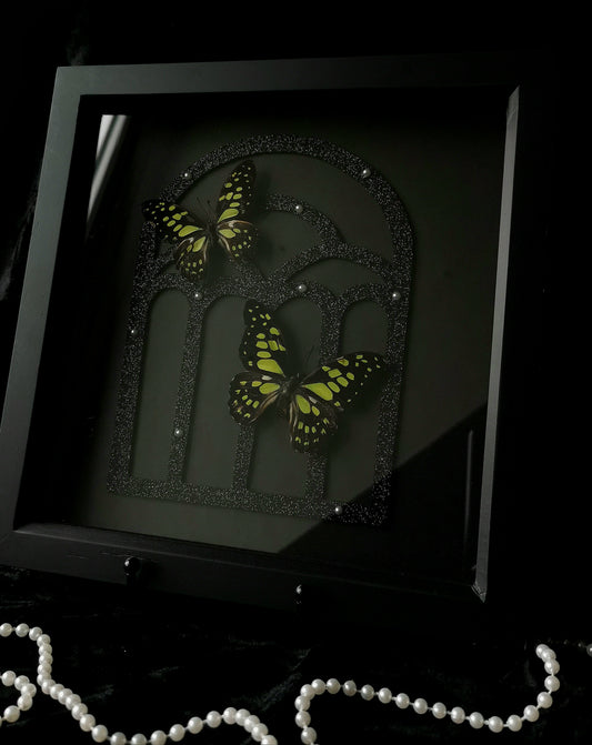 Veined Swallowtail gothic glitter entomology frame