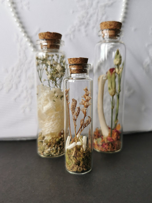 Curiosity bottle set