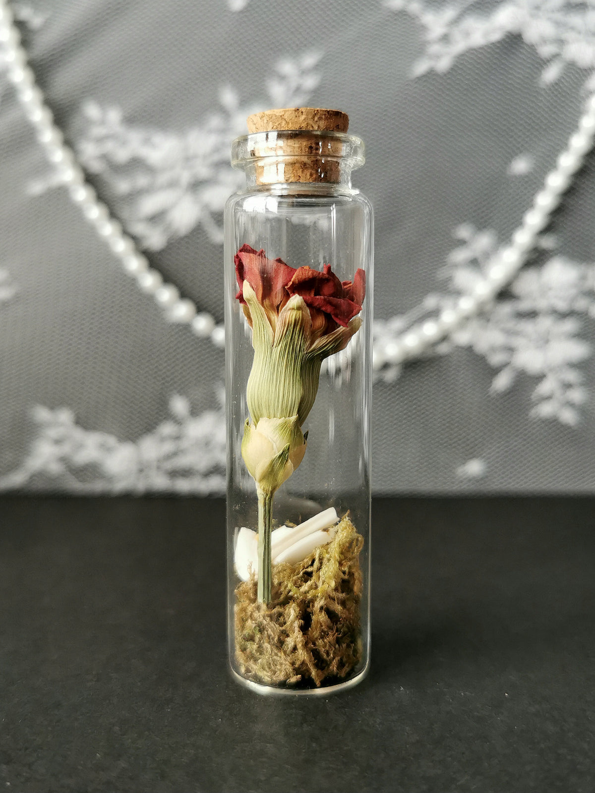 Small curiosity bottle