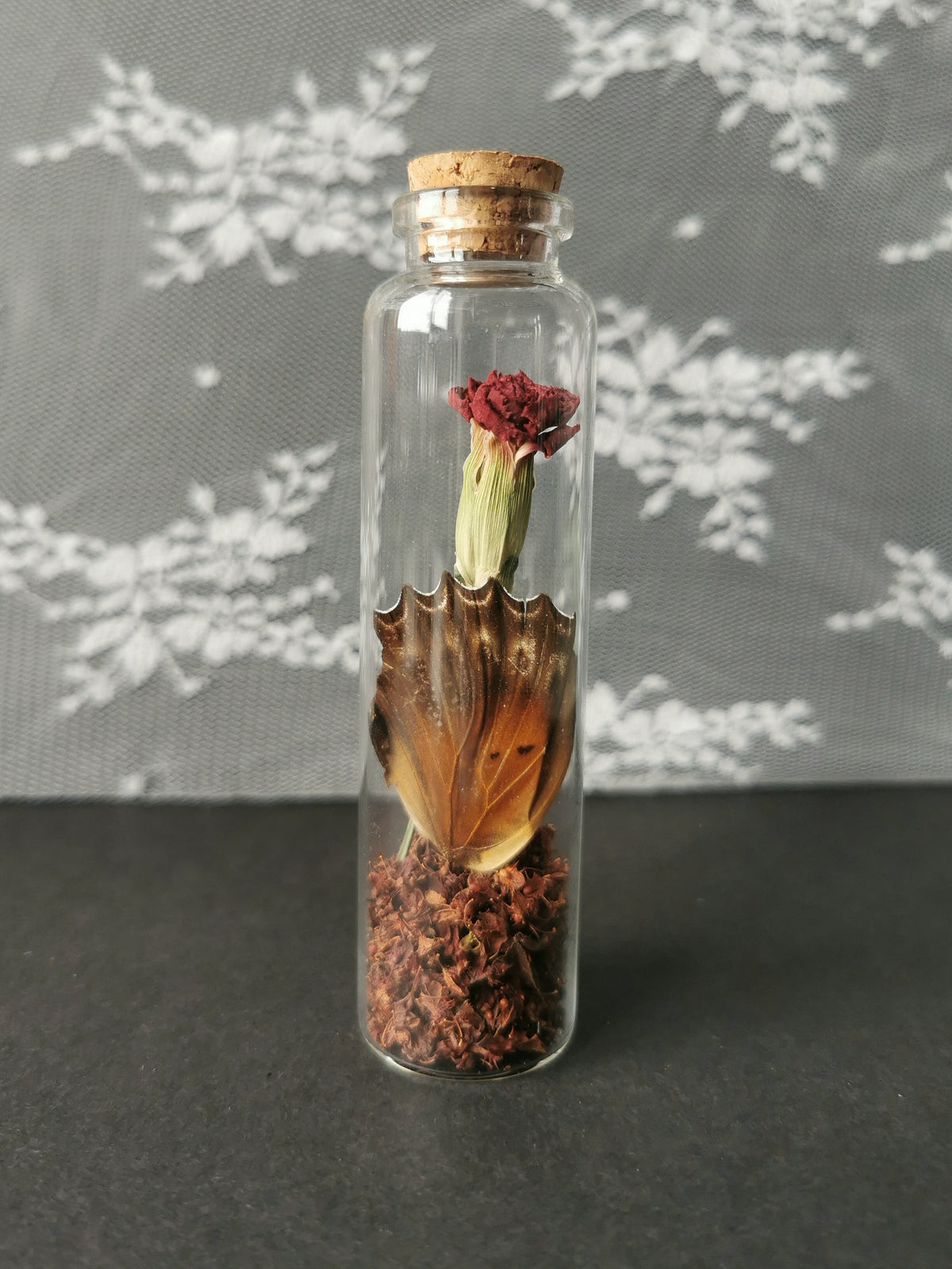 Large curiosity bottle