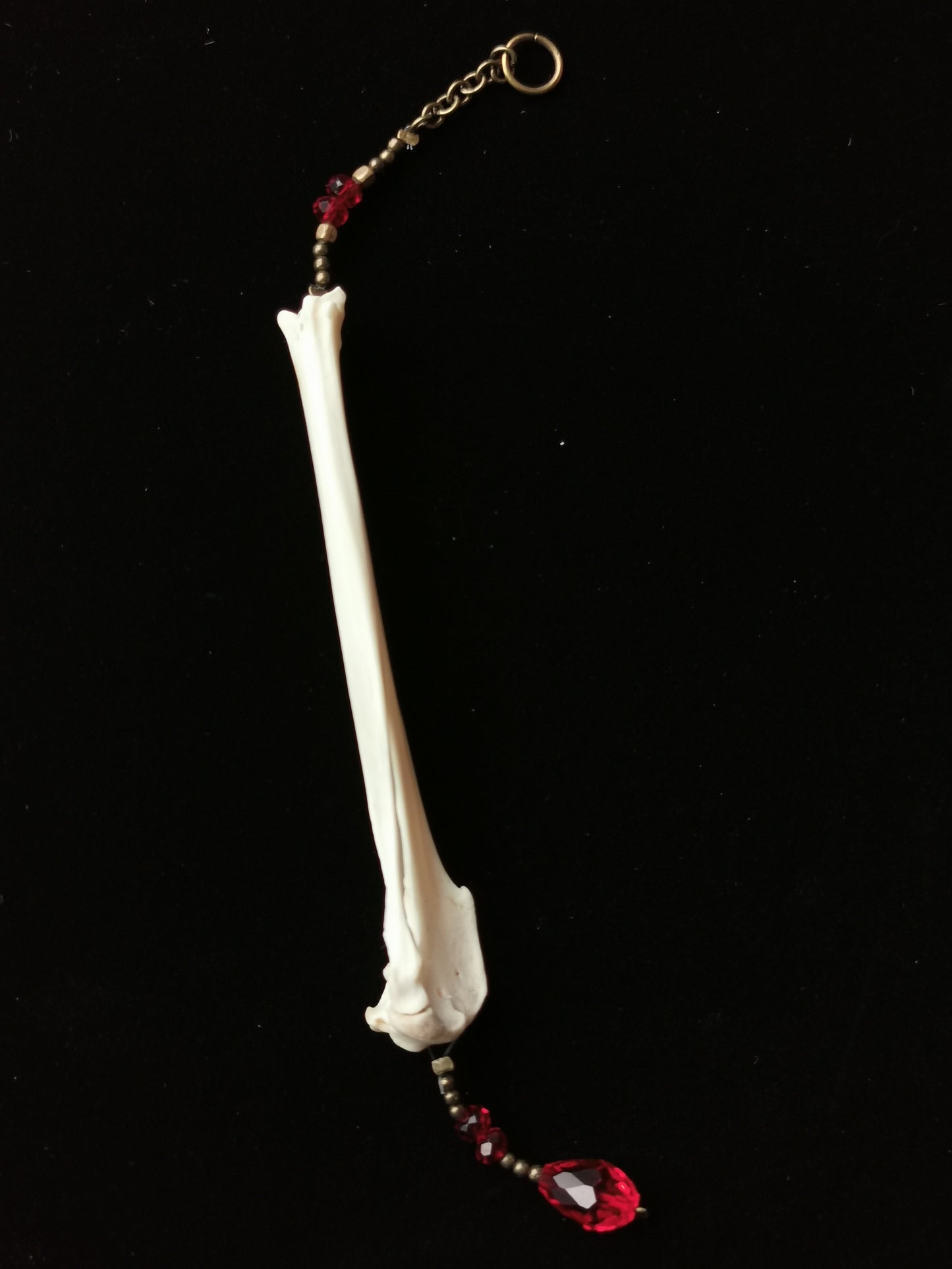 Rabbit tibia suncatcher