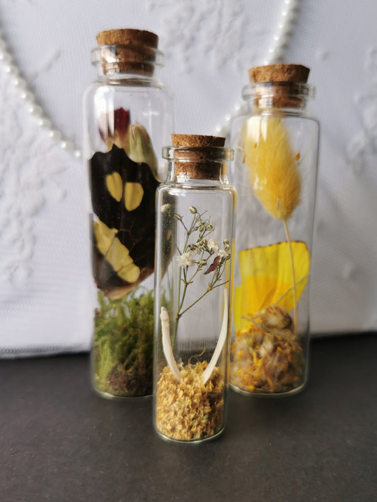 Curiosity bottle set